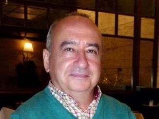 No a la cizaña, alternativas